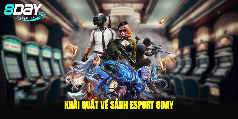 Khái quát về sảnh esport 8day