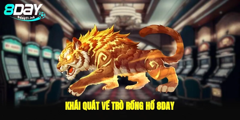 Khái quát về trò rồng hổ 8day