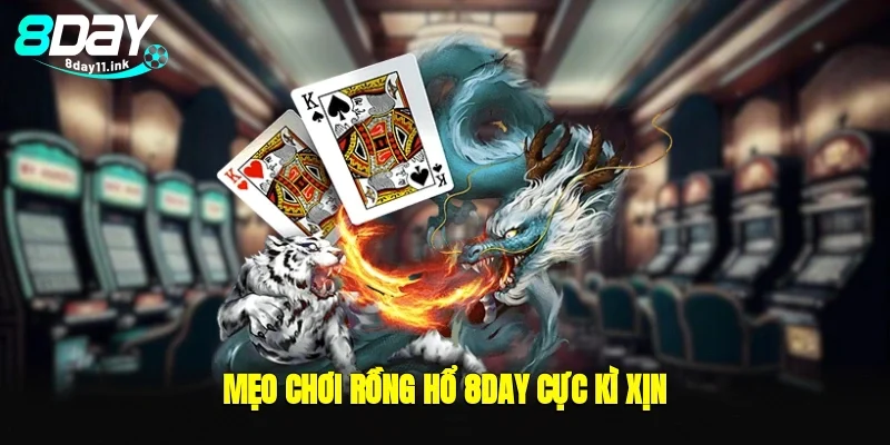Mẹo chơi rồng hổ 8day cực kì xịn