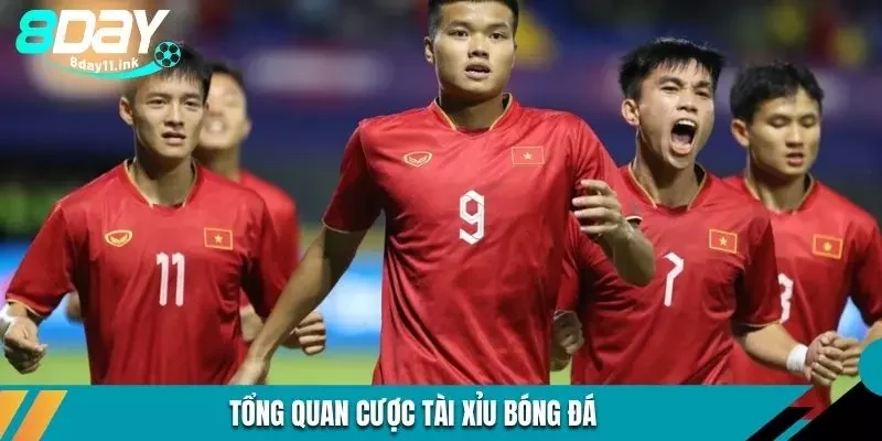 Tổng quan cược tài xỉu bóng đá