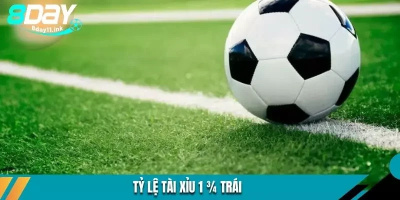 Tỷ lệ tài xỉu 1 ¾ trái